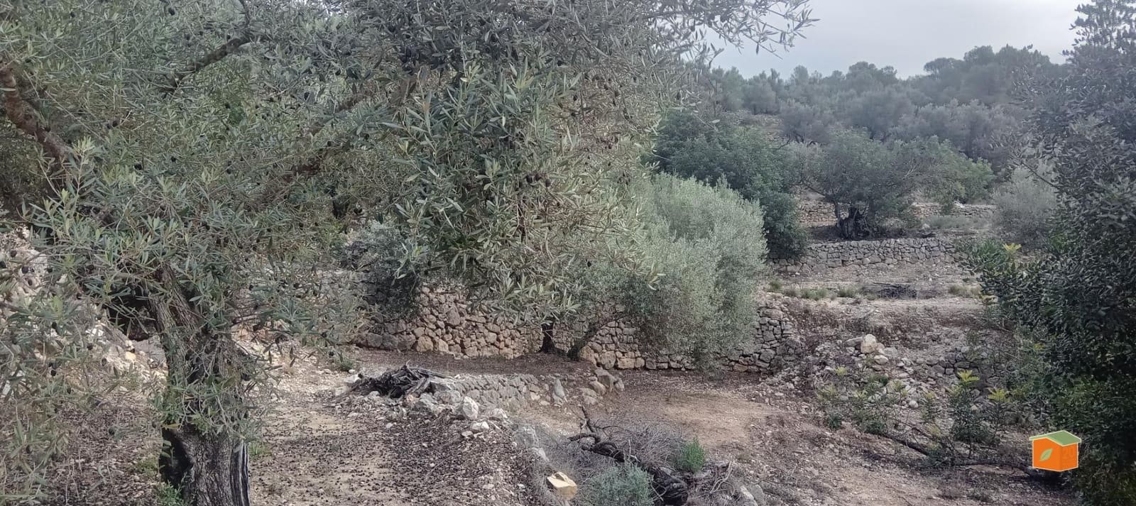 1 soveværelse Finca/Landehus til salg i Tortosa - € 58.000 (Ref: 9435949)