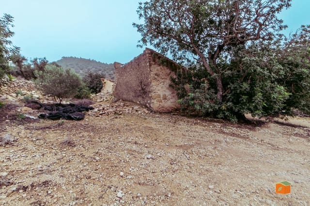 1 Zimmer Finca/Landgut zu verkaufen in Tortosa - 58.000 € (Ref: 9435949)