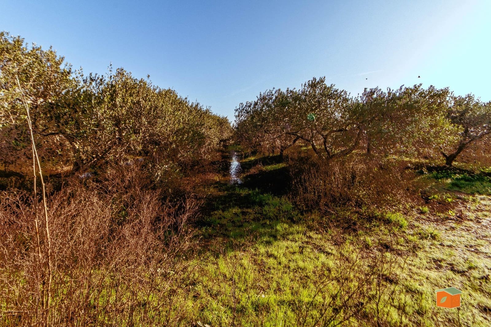 2 makuuhuone Maalaistalo myytävänä paikassa Amposta - 129 000 € (Ref: 9474986)