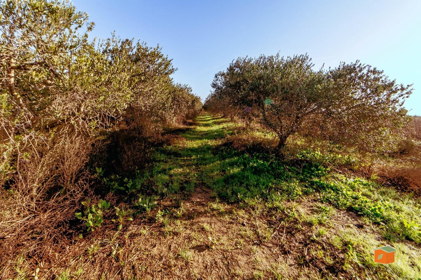 2 makuuhuone Maalaistalo myytävänä paikassa Amposta - 129 000 € (Ref: 9474986)