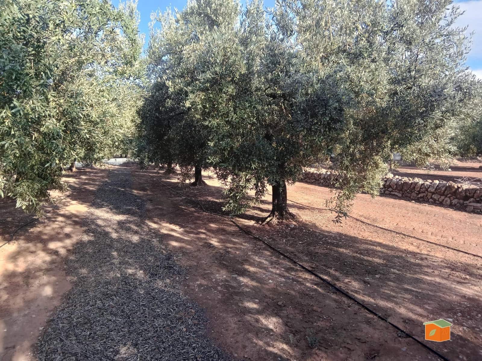 Finca/Country House for sale in Freginals - € 69,000 (Ref: 9509134)