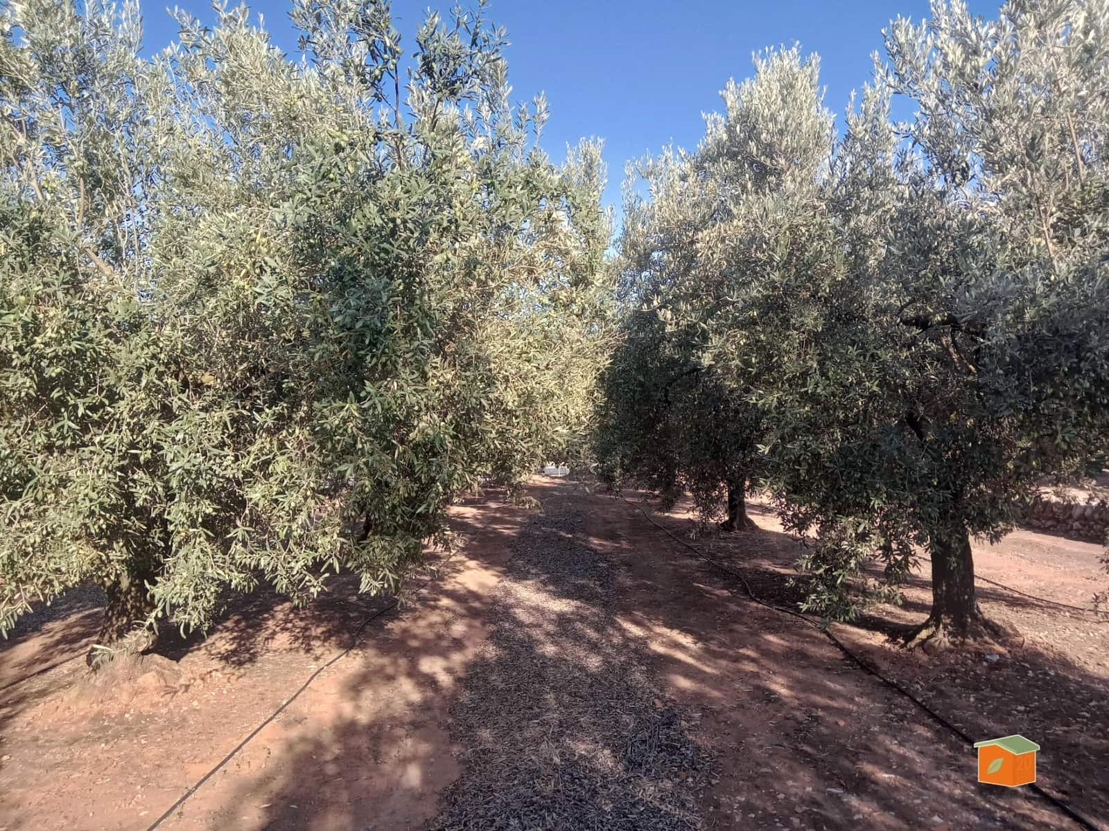 Finca/Country House for sale in Freginals - € 69,000 (Ref: 9509134)