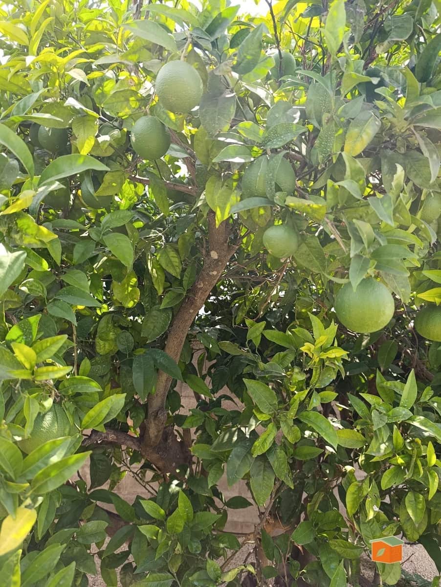 3 bedroom Villa for sale in Deltebre - € 239,000 (Ref: 9571377)