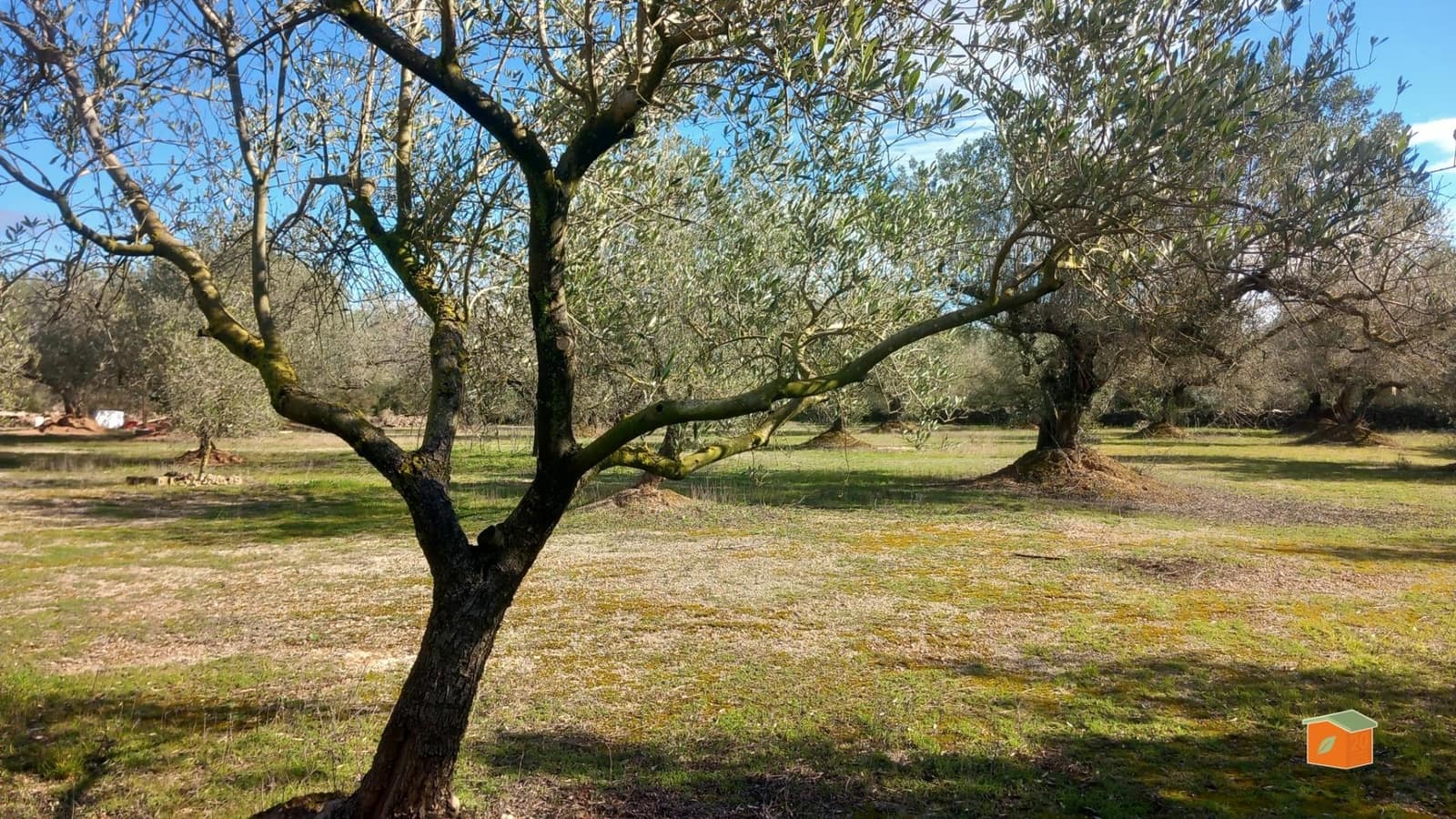 1 quarto Quinta/Casa Rural para venda em Ulldecona - 56 000 € (Ref: 9586712)