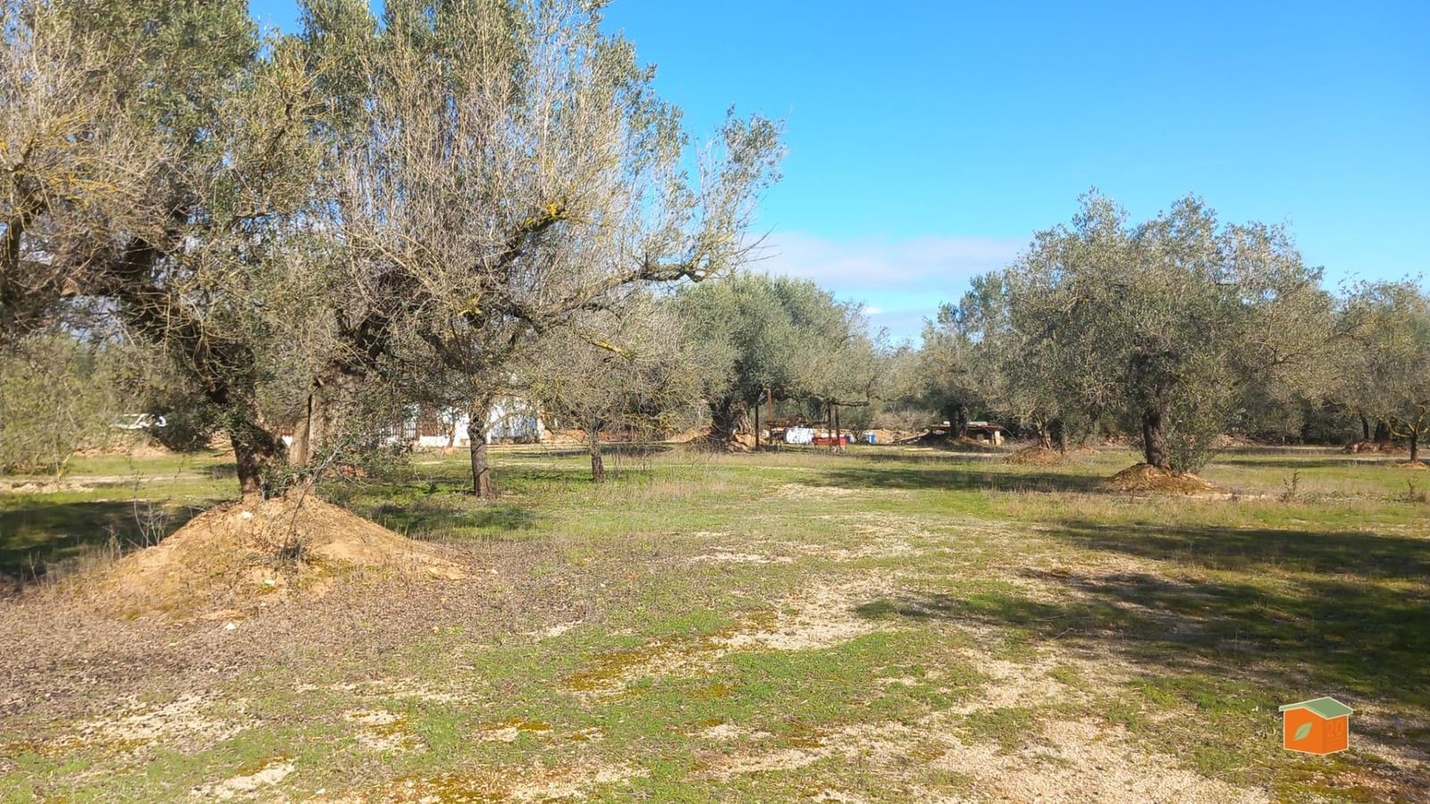 1 quarto Quinta/Casa Rural para venda em Ulldecona - 56 000 € (Ref: 9586712)