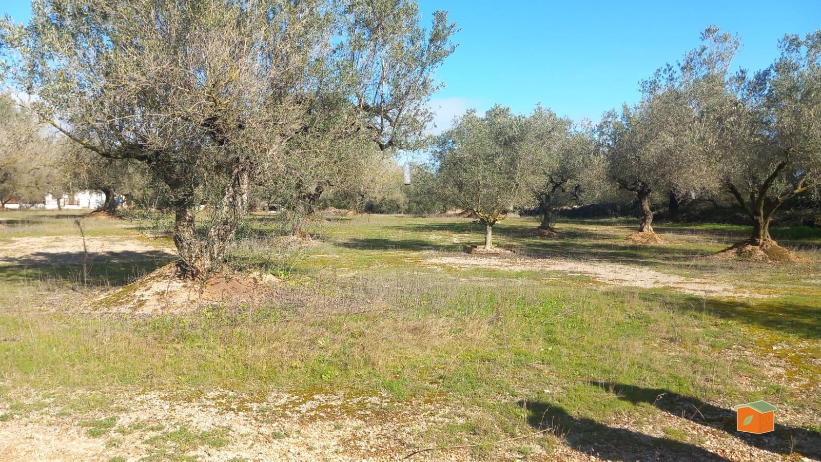 1 quarto Quinta/Casa Rural para venda em Ulldecona - 56 000 € (Ref: 9586712)