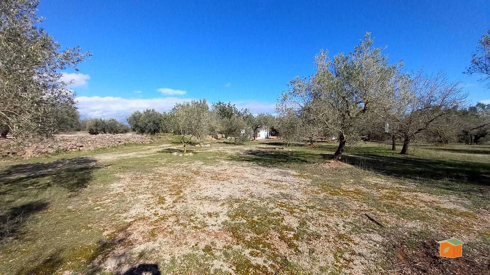 1 quarto Quinta/Casa Rural para venda em Ulldecona - 56 000 € (Ref: 9586712)
