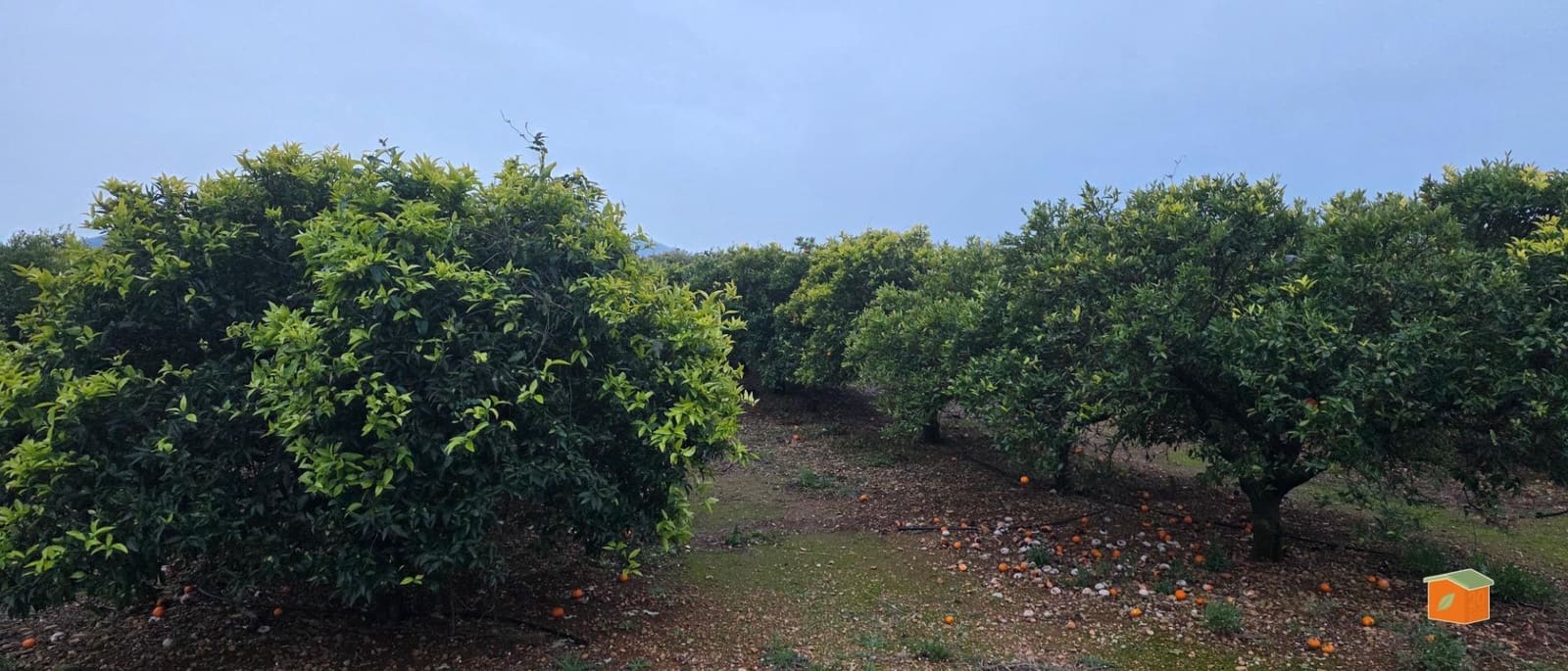 Undeveloped Land for sale in Masdenverge - € 47,000 (Ref: 9591511)