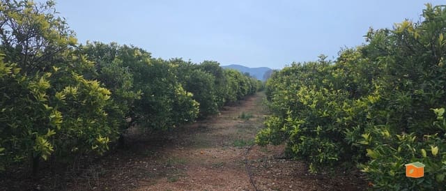 Teren niezagospodarowany na sprzedaż w Masdenverge - 47 000 € (Ref: 9591511)