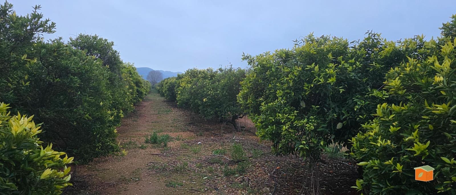 Undeveloped Land for sale in Masdenverge - € 47,000 (Ref: 9591511)