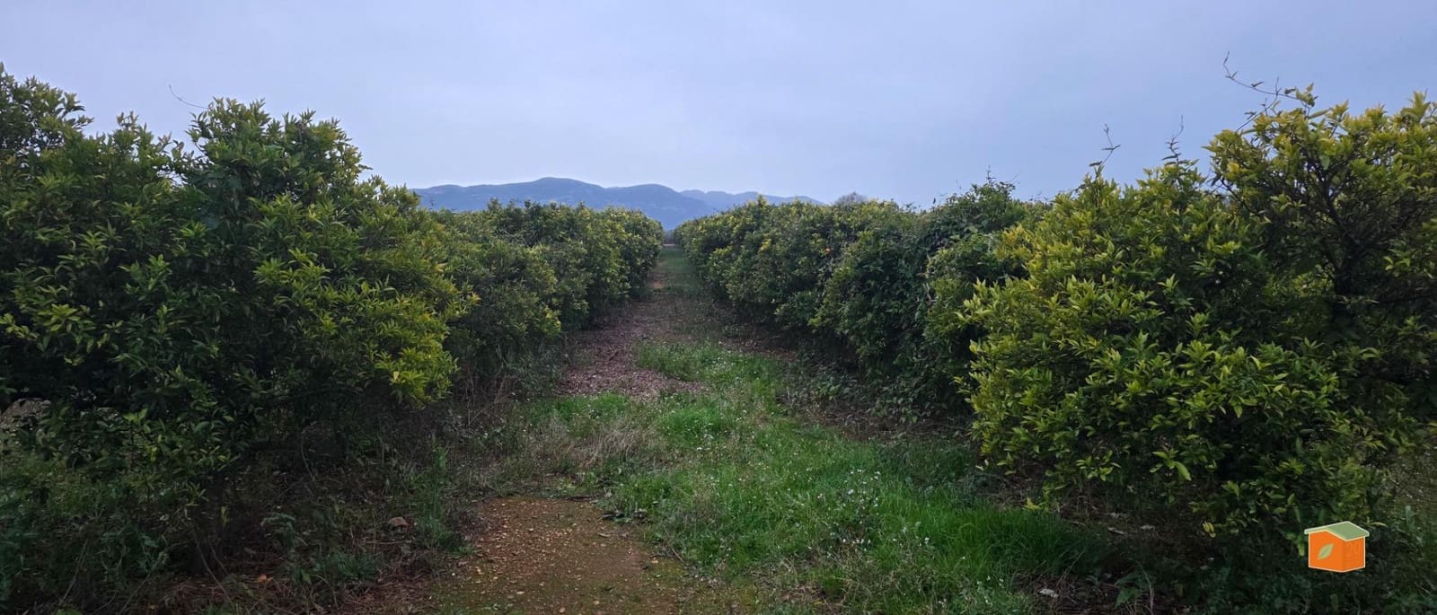 Undeveloped Land for sale in Masdenverge - € 47,000 (Ref: 9591511)