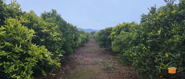 Teren niezagospodarowany na sprzedaż w Masdenverge - 47 000 € (Ref: 9591511)