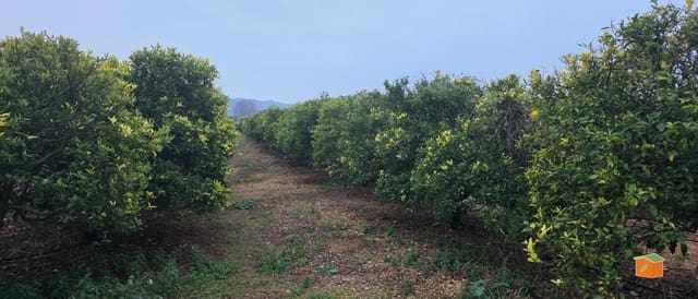 Teren niezagospodarowany na sprzedaż w Masdenverge - 47 000 € (Ref: 9591511)