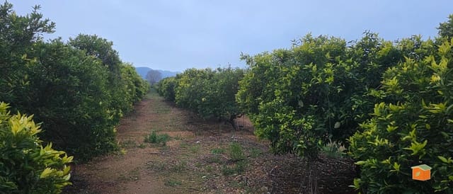 Teren niezagospodarowany na sprzedaż w Masdenverge - 47 000 € (Ref: 9591511)