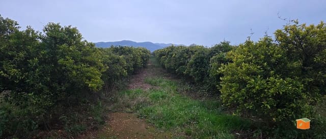 Teren niezagospodarowany na sprzedaż w Masdenverge - 47 000 € (Ref: 9591511)