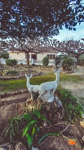 3 Zimmer Villa zu verkaufen in Roquetes mit Pool Garage - 270.000 € (Ref: 9670880)