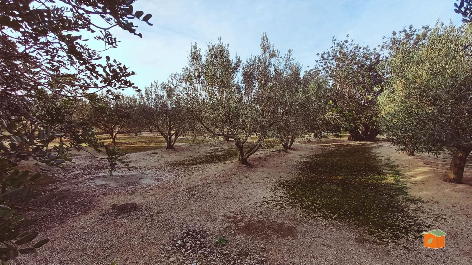 3 Zimmer Villa zu verkaufen in Roquetes mit Pool Garage - 270.000 € (Ref: 9670880)