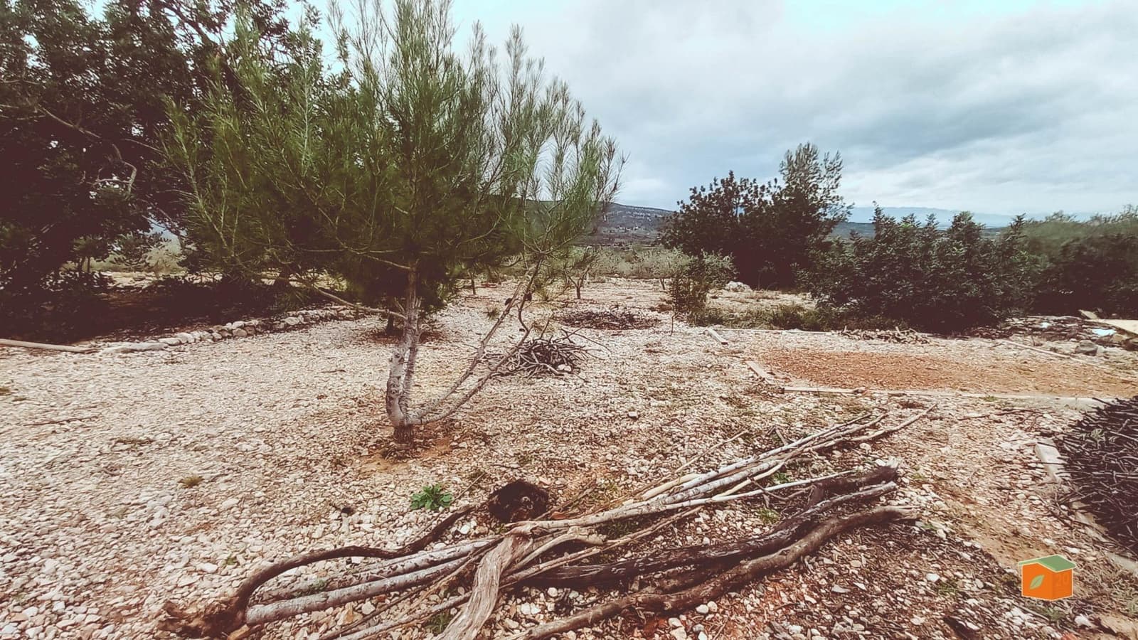 Finca/Landgut zu verkaufen in Freginals mit Pool - 75.000 € (Ref: 9686745)