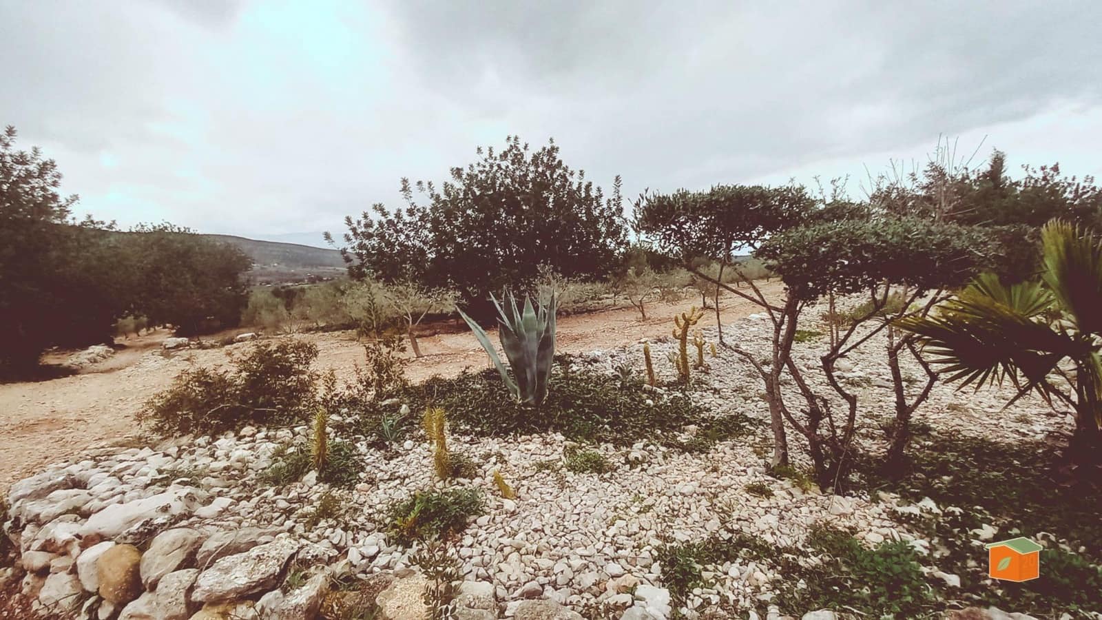 Finca/Landgut zu verkaufen in Freginals mit Pool - 75.000 € (Ref: 9686745)