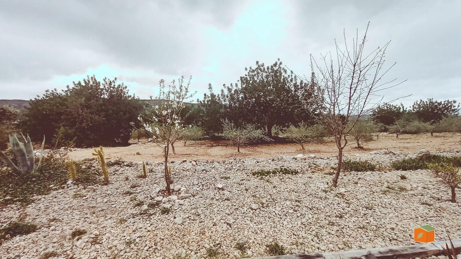 Finca/Landgut zu verkaufen in Freginals mit Pool - 75.000 € (Ref: 9686745)