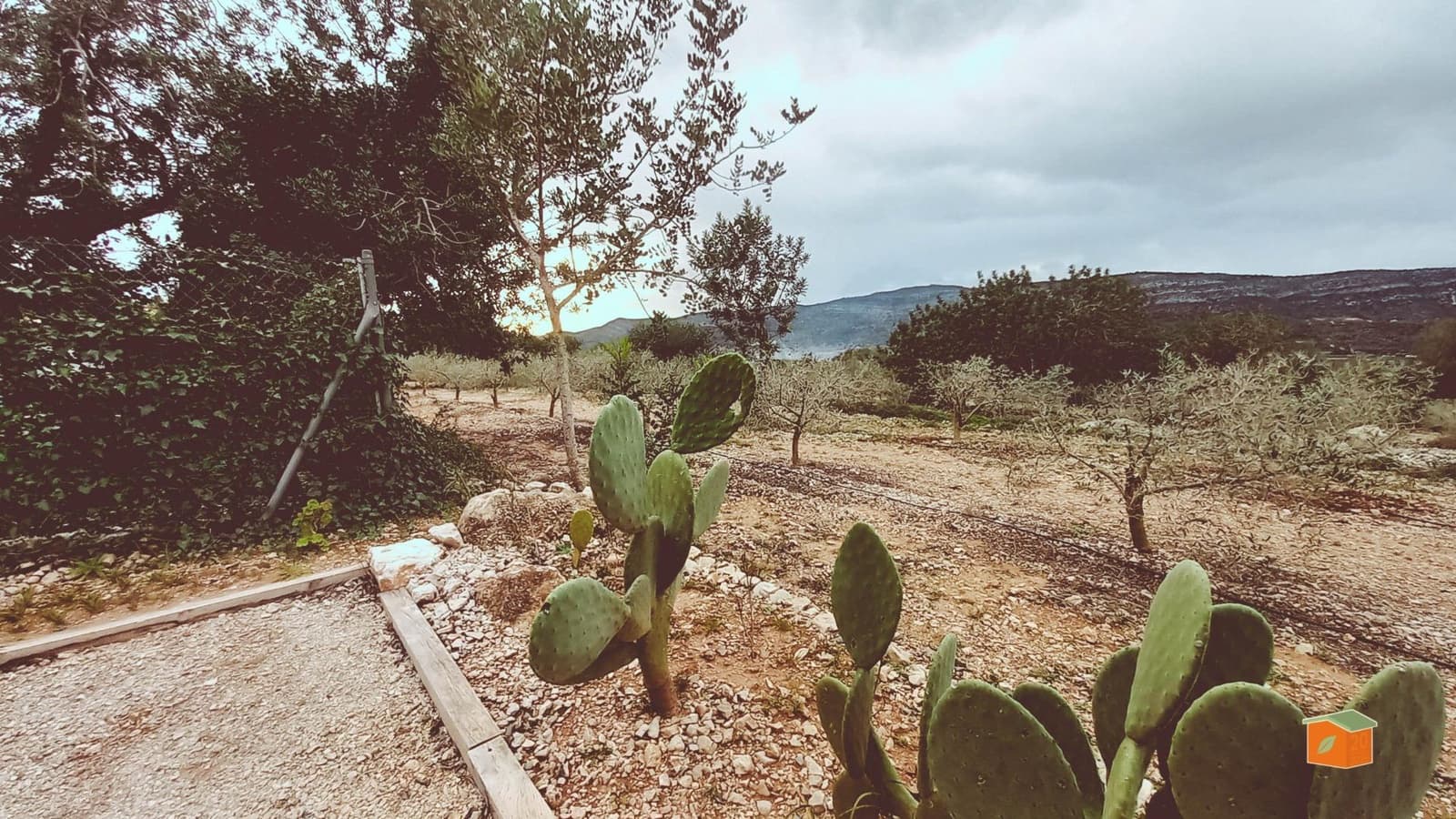 Finca/Landgut zu verkaufen in Freginals mit Pool - 75.000 € (Ref: 9686745)