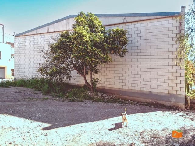 Area Edificabile in vendita in Santa Bàrbara - 15.000 € (Rif: 9780727)