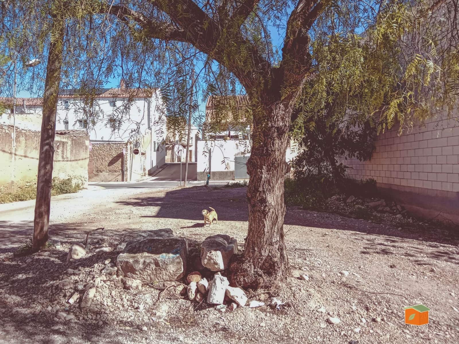 Area Edificabile in vendita in Santa Barbara - 15.000 € (Rif: 9780727)