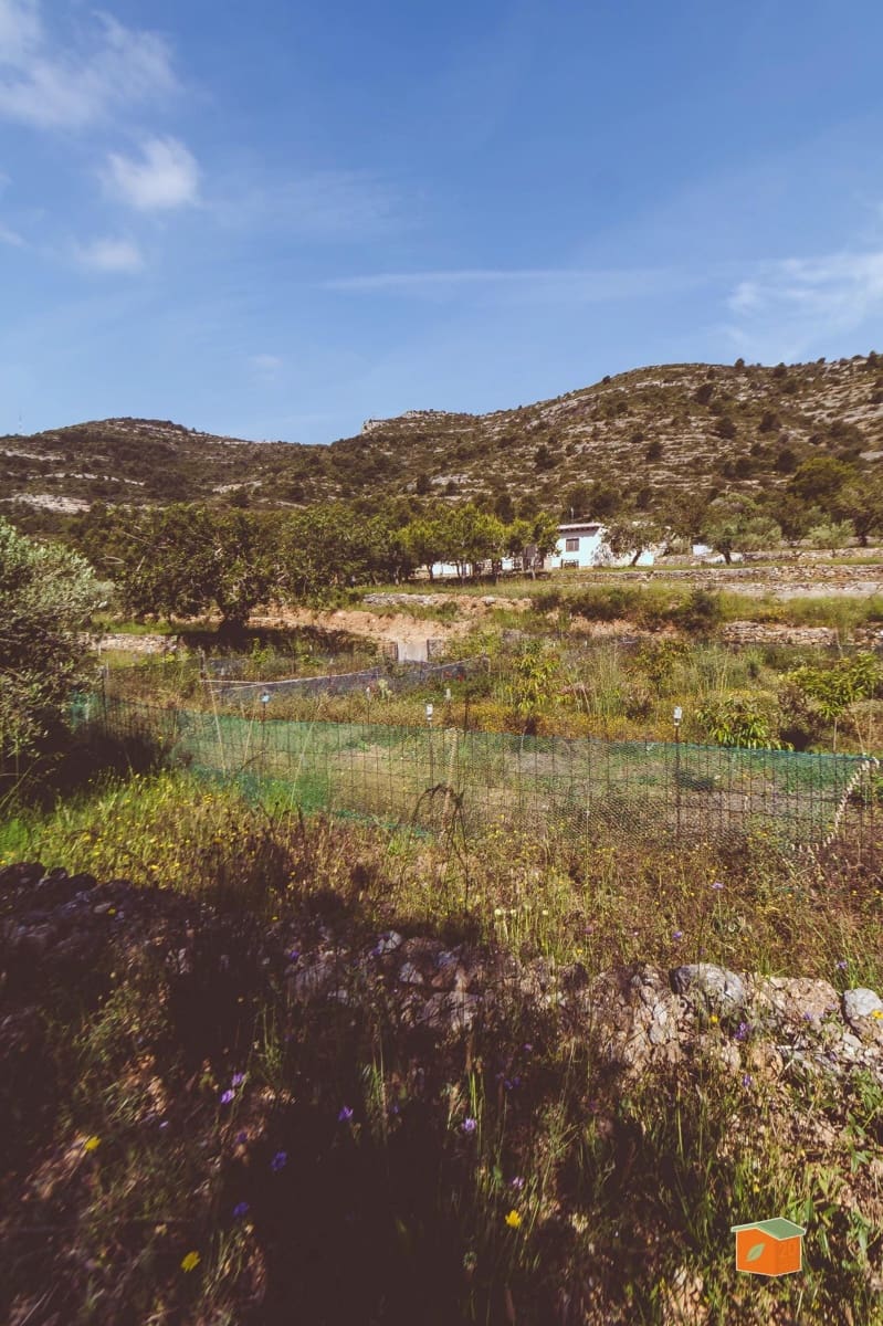 3 bedroom Villa for sale in Ulldecona with garage - € 162,000 (Ref: 9865370)