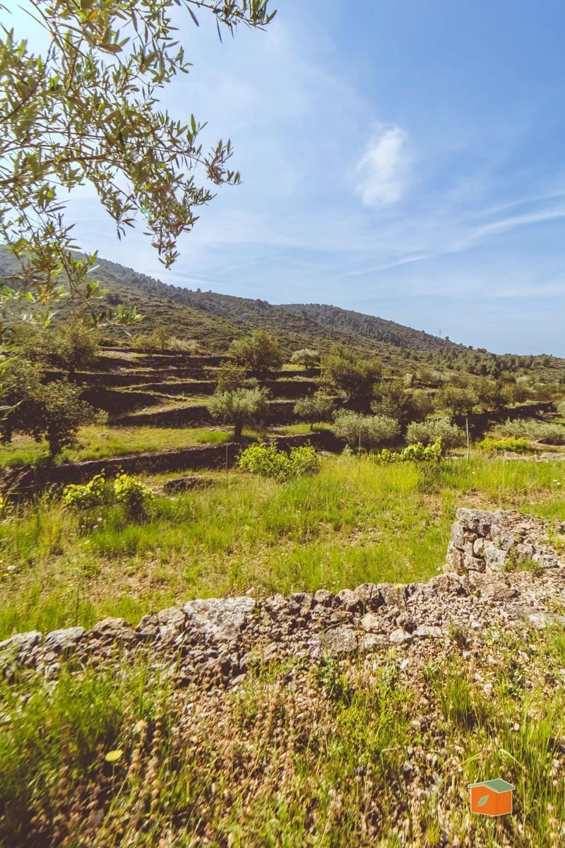 3 bedroom Villa for sale in Ulldecona with garage - € 162,000 (Ref: 9865370)