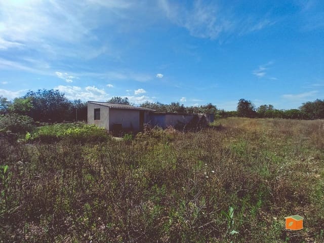 Undeveloped Land for sale in Santa Bàrbara - € 46,050 (Ref: 9952745)