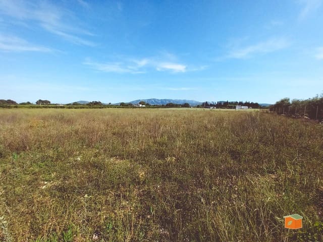 Undeveloped Land for sale in Santa Bàrbara - € 46,050 (Ref: 9952745)