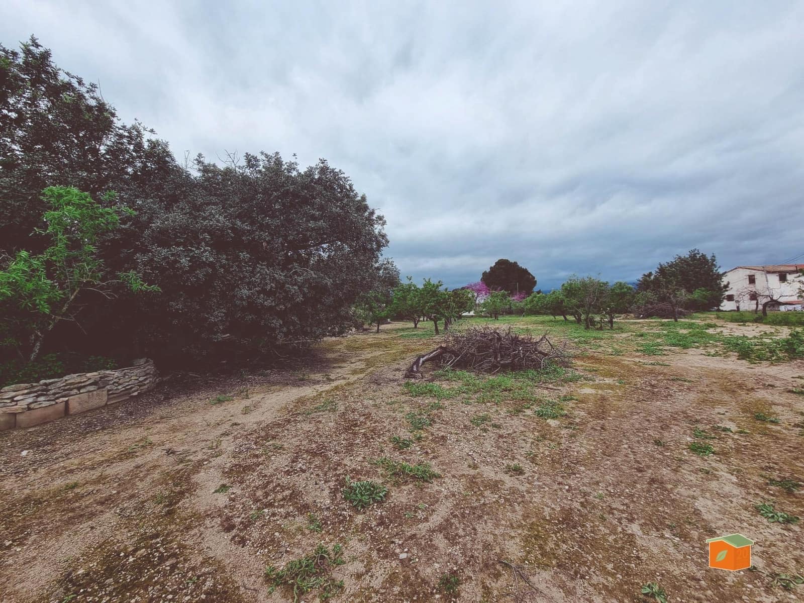 Erhverv til salg i Tortosa med garage - € 55.000 (Ref: 9952746)