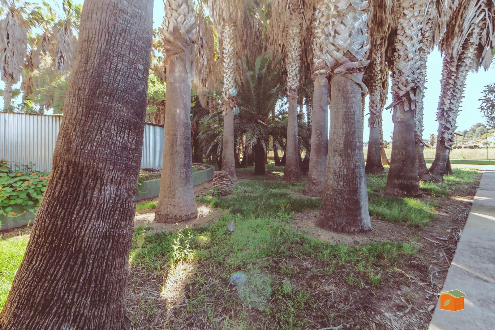 4 bedroom Villa for sale in Vinallop with garage - € 321,000 (Ref: 9966752)