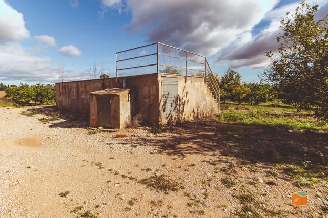 Grunde uden byggetilladelser til salg i Santa Bàrbara - € 38.500 (Ref: 9978998)