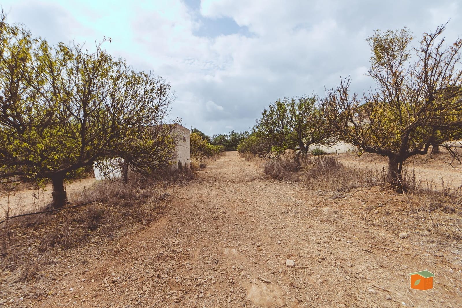 2 slaapkamer Finca/Landhuis te koop in Santa Barbara - € 105.000 (Ref: 9983126)
