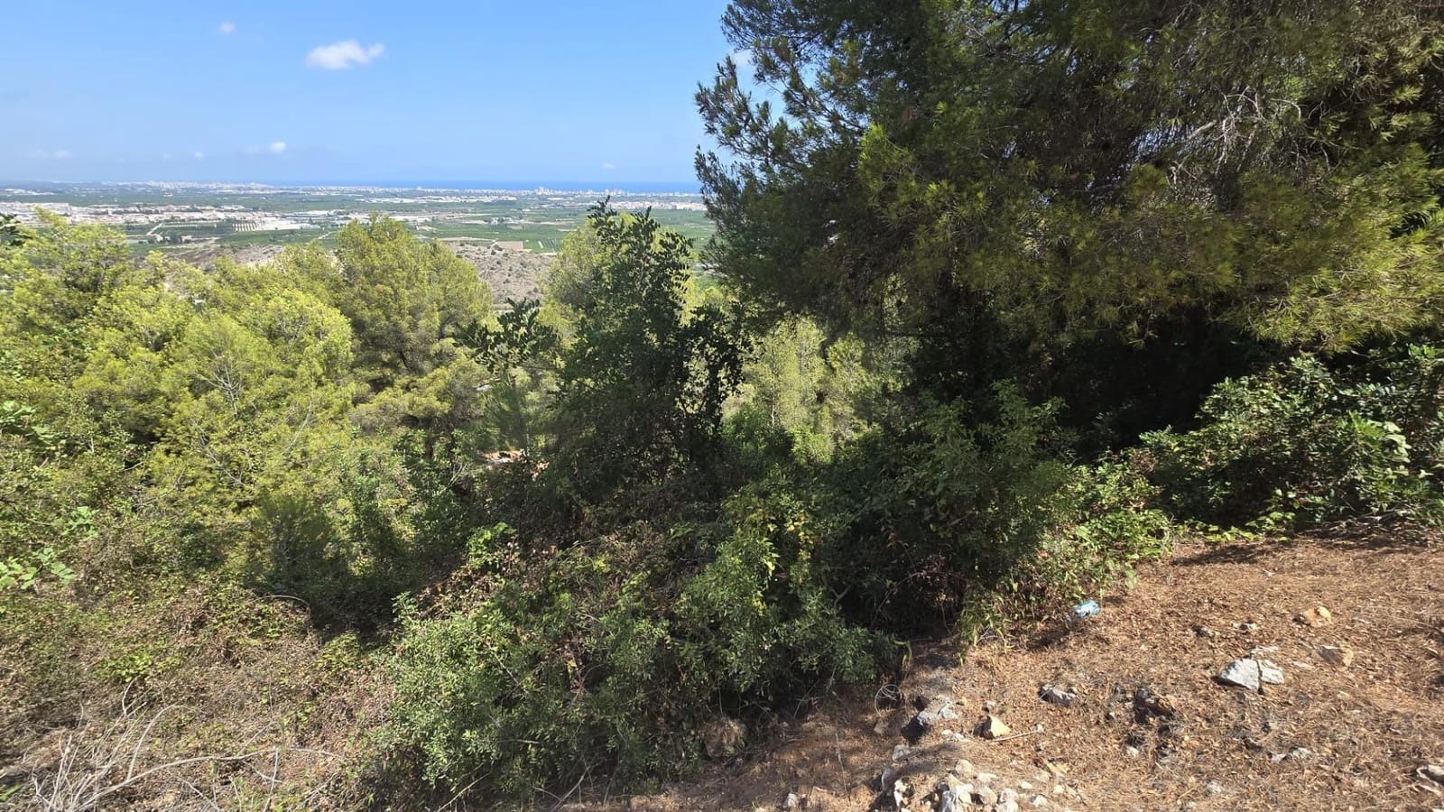 Ubebygd land til salgs i La Font d'En Carros - € 120 000 (Ref: 10173023)