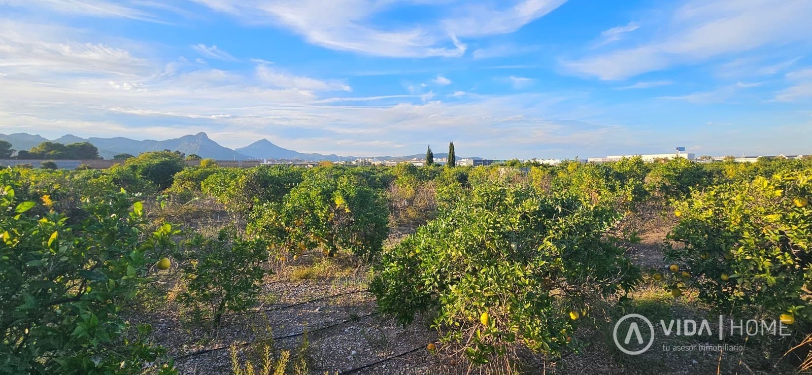 Leilighet til salgs i Gandia - € 35 000 (Ref: 10179689)