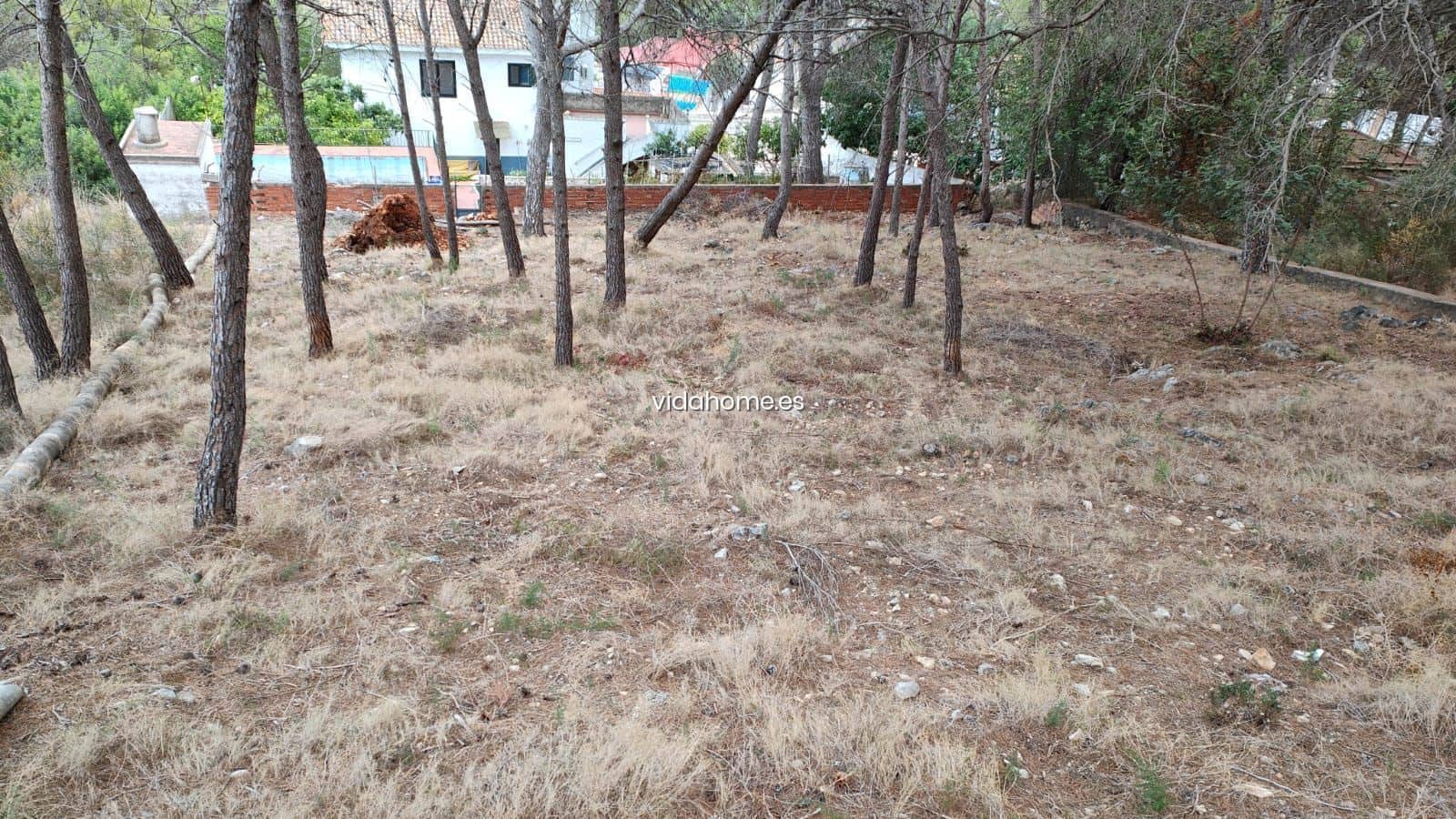 Byggegrund til salg i Rotova - € 65.000 (Ref: 9178232)