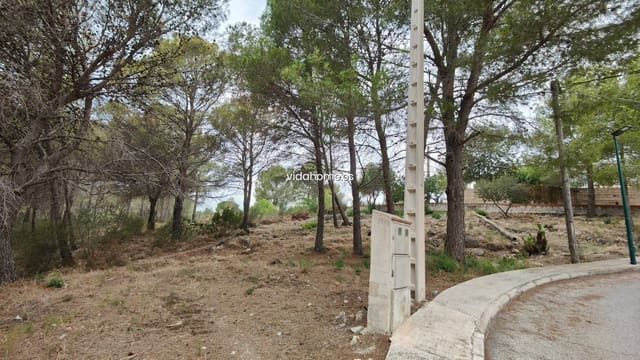 Area Edificabile in vendita in Rótova - 65.000 € (Rif: 9178232)