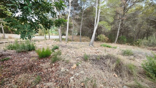 Area Edificabile in vendita in Rótova - 65.000 € (Rif: 9178232)