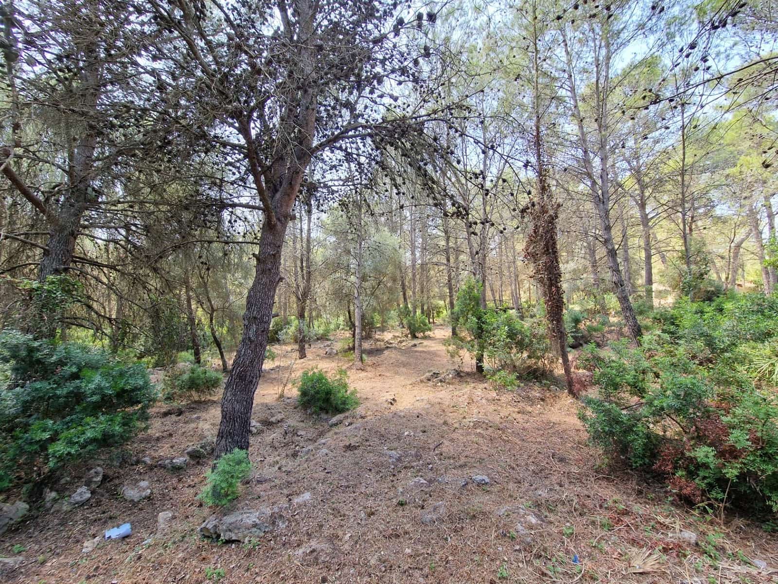 7 bedroom Villa for sale in Villalonga - € 390,000 (Ref: 9407828)