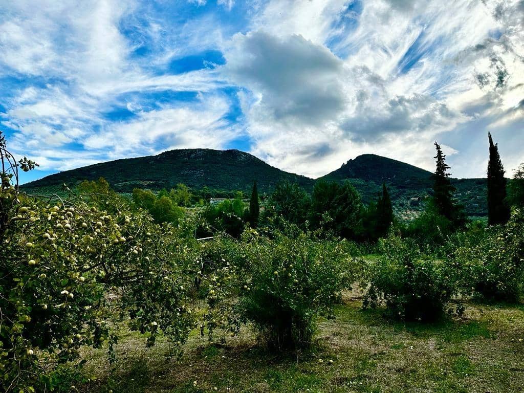 4 soverom Finca/Herregård til salgs i Carcabuey med svømmebasseng garasje - € 250 000 (Ref: 9359877)