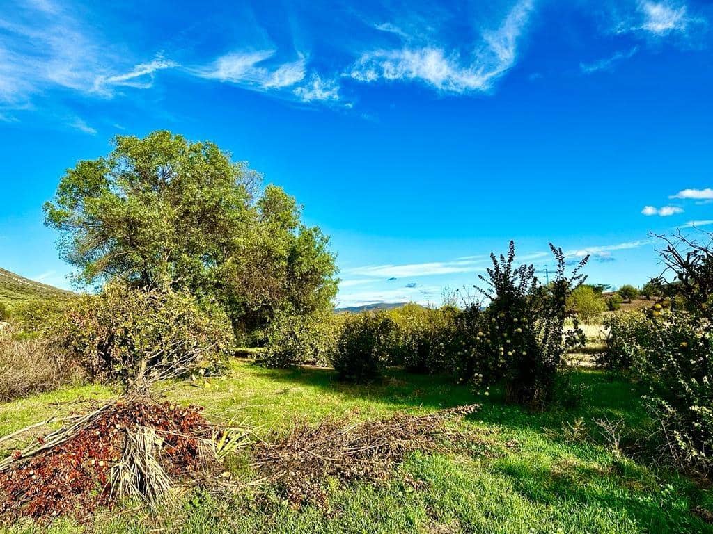 4 soverom Finca/Herregård til salgs i Carcabuey med svømmebasseng garasje - € 250 000 (Ref: 9359877)