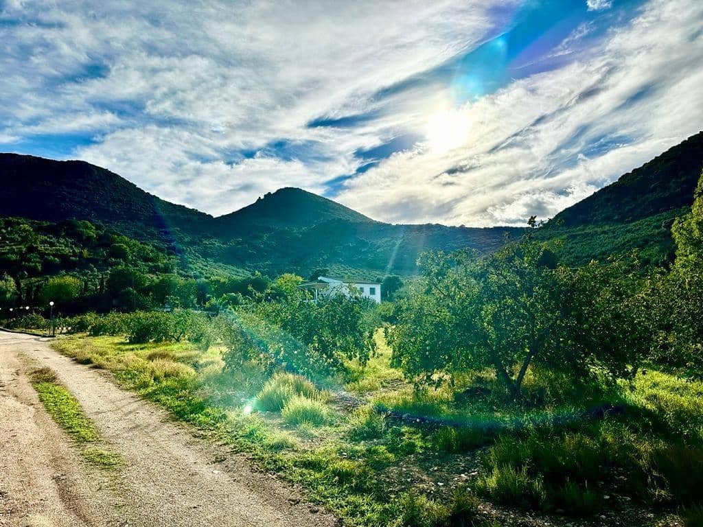 4 soverom Finca/Herregård til salgs i Carcabuey med svømmebasseng garasje - € 250 000 (Ref: 9359877)