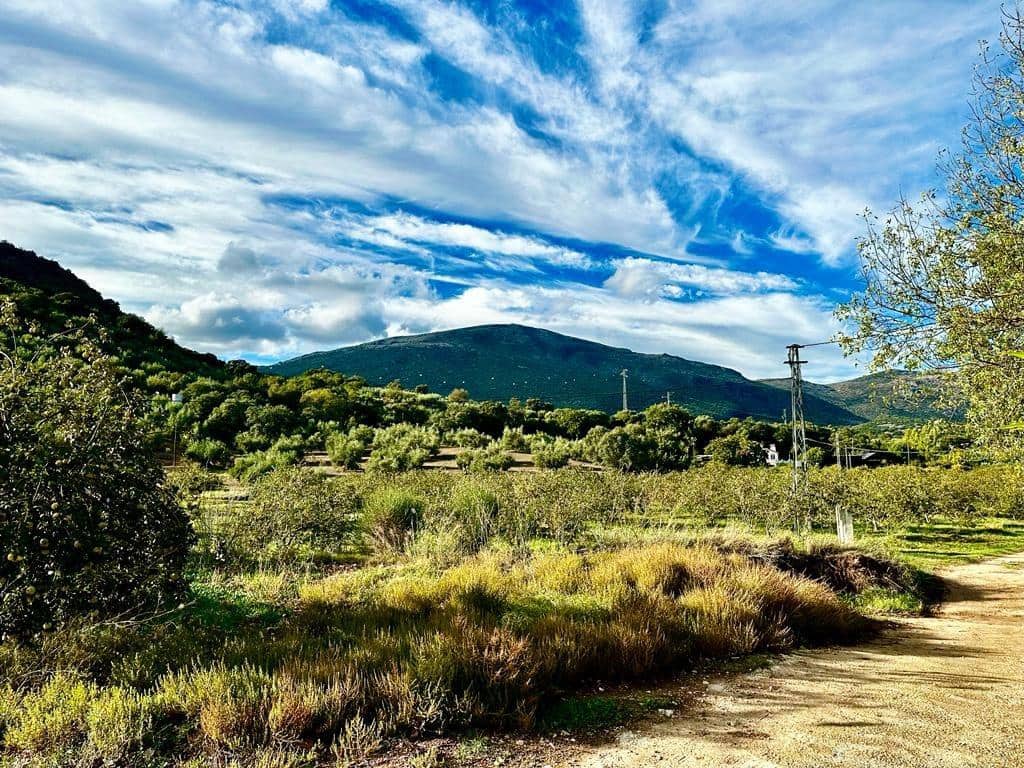 4 soverom Finca/Herregård til salgs i Carcabuey med svømmebasseng garasje - € 250 000 (Ref: 9359877)