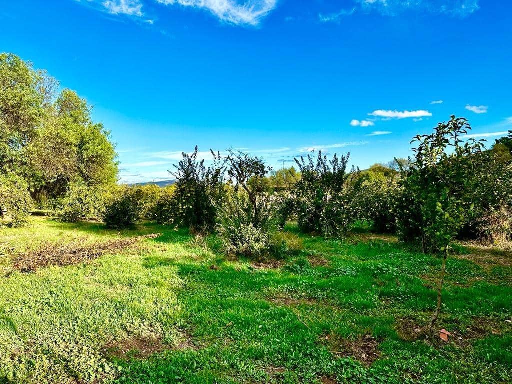 4 soverom Finca/Herregård til salgs i Carcabuey med svømmebasseng garasje - € 250 000 (Ref: 9359877)