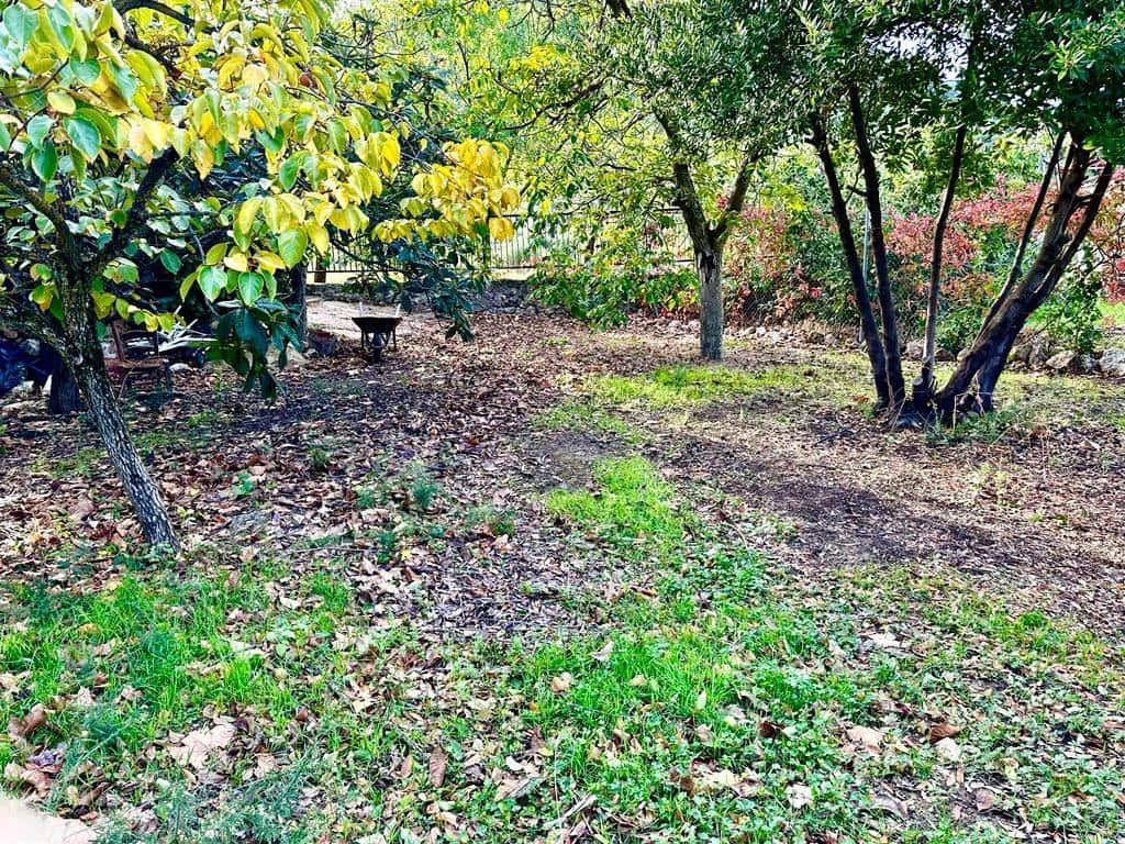 4 soverom Finca/Herregård til salgs i Carcabuey med svømmebasseng garasje - € 250 000 (Ref: 9359877)