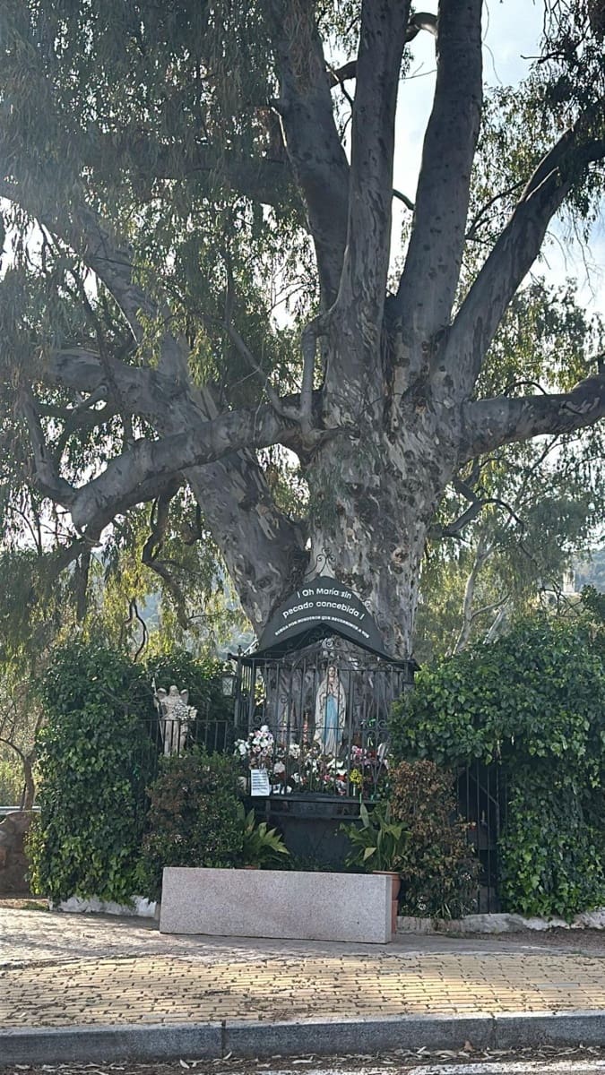 Byggegrund til salg i Cordoba by - € 234.000 (Ref: 9359886)