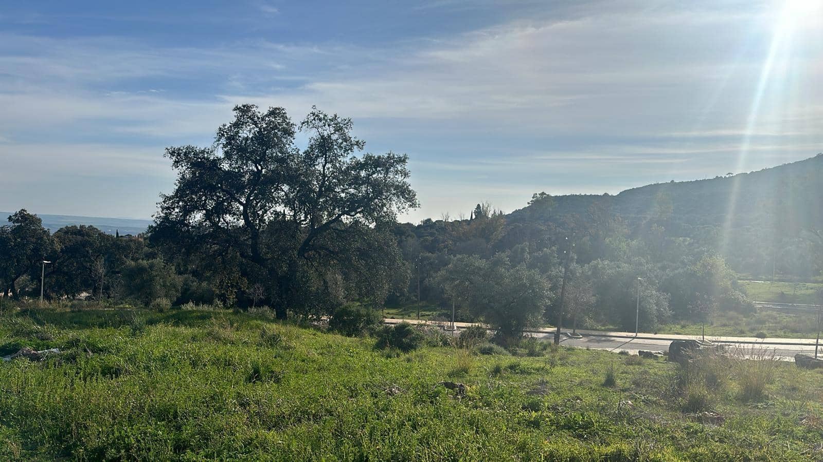 Byggegrund til salg i Cordoba by - € 234.000 (Ref: 9359886)