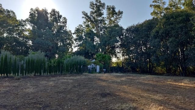 Byggegrund til salg i Almodóvar del Río - € 39.500 (Ref: 9359888)